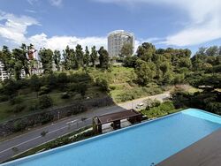 The Landmark (D3), Condominium #564744171